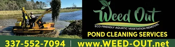 Weed-Out project result image showing cleaned waterway edge