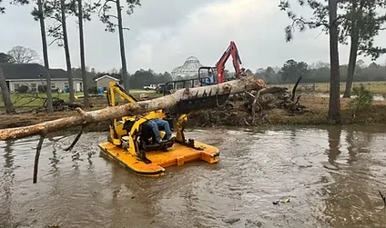 Tree and debris removal from a waterway