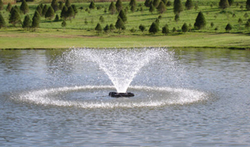 MODEL F1000DP: AERATORS