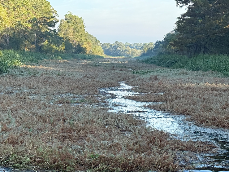 The Importance of Waterway Maintenance for Ecosystems blog image